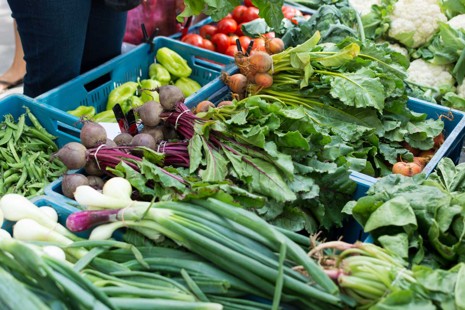 Westwood Farmers’ Market Sustainable Ridgewood